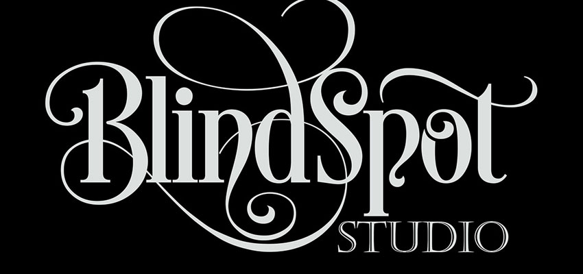 BlindSpot Studio Haris Cizmic - Creative Services from Detroit to Sarajevo 4